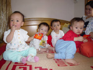 dsc00379.jpg