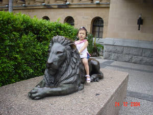 lion.jpg